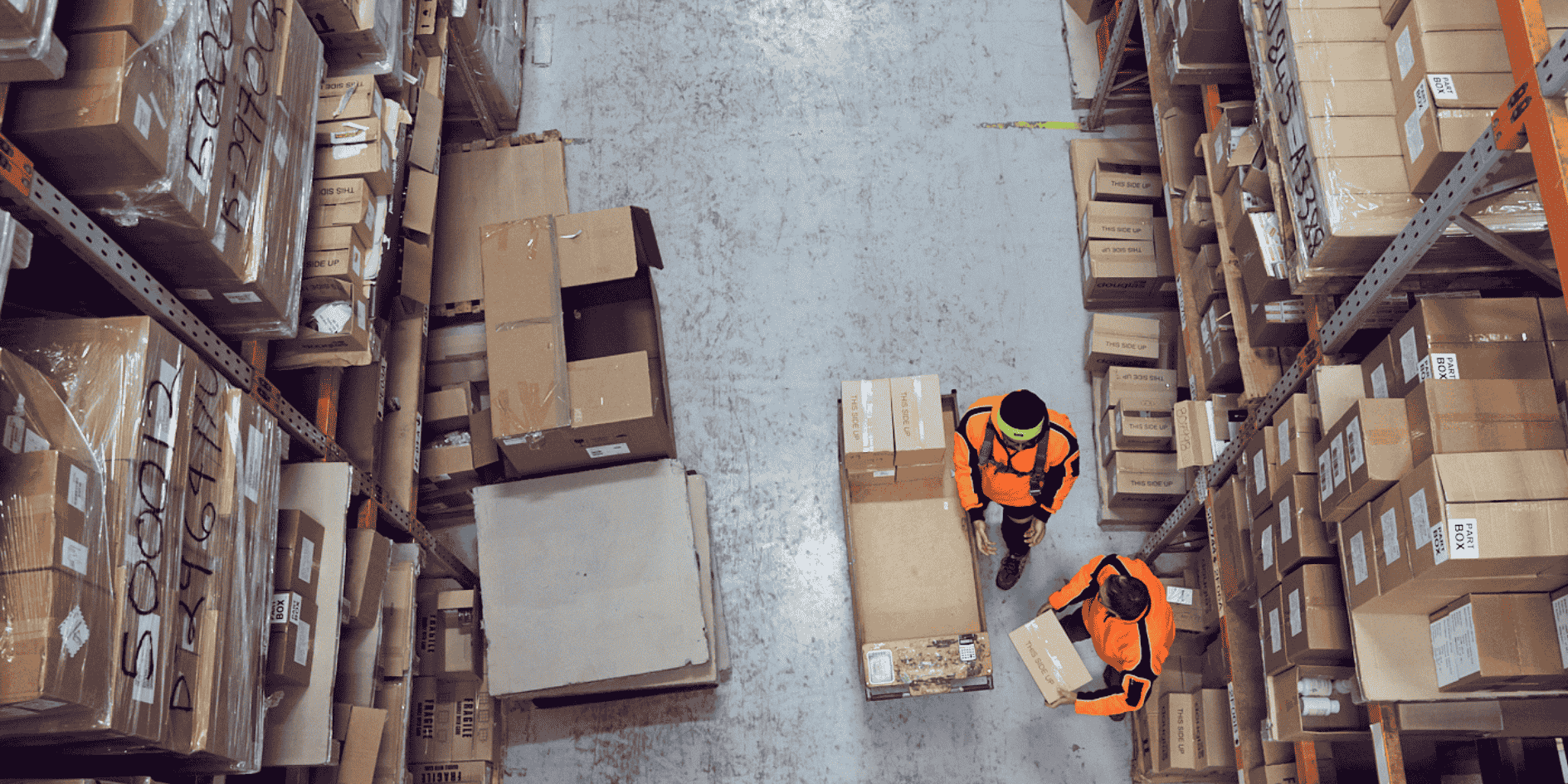 Packing solutions Douglas CDMO